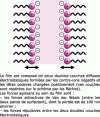 Figure 9 - Schematic diagram of a sodium dodecyl sulfate (SDS) film