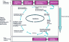 Figure 2 - Knowledge capitalization