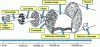 Figure 17 - Scale elements to consider (tendon case)