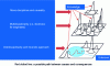 Figure 18 - Scientific approaches: from cause-effect relationships to complexity management