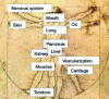 Figure 3 - Fields of study in bio-printing