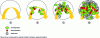 Figure 6 - Principle of bio-printing with changes over time of the printed living materials [23].