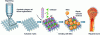 Figure 8 - Sequential bone repair process by Wang et al [130].