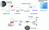 Figure 4 - Two methods of synthesizing bionanocomposites by incorporating metal oxide NPs into biopolymers by solvent casting (A) or electrospinning (B).