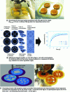 Figure 11 - 3D printing of laminated zein using the FA-DFF (direct fused filament extrusion) process