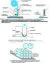 Figure 4 - Details of the components of a 3D printer by FA-DFF and the material feed mechanism