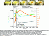 Figure 8 - Rheological properties of plasticized zein and macroscopic behavior at 130 °C