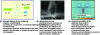 Figure 4 - Induction of flow in turbid liquids through the transfer of momentum from light waves to the diffusers