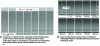 Figure 6 - Formation of a stable liquid optical fiber by the radiation pressure of a laser wave and destabilization of this liquid column after cessation of optical excitation