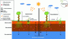 Figure 1 - Diagram of the action of phytoextraction and phytostabilization on sites and soils polluted with ETMM compared with their non-use. It shows the effect of the root system on the mobility of ETMM in surface soil, deep soil and groundwater, illustrating a reduction in leaching under the action of phytotechnologies (translated and adapted from [15]).