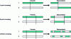 Figure 2 - Binary crosses