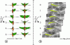 Figure 16 - Soft locomotion: hovering flight (a), passive swimming of a fish in a Von Karman vortex street (b). The butterfly’s wings and the fish’s body are modeled as passive Cosserat beams [69], [74] and simulated using the algorithm shown in Figure 15