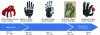 Figure 10 - Selected robotic hands: from high underactuation to full actuation