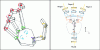 Figure 20 - Kinematics and degree of actuation of the SEAHAND gripper designed for underwater archaeology