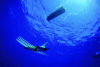 Figure 3 - The SV2 wave-glider from Liquid Robotics and the principle behind its propulsion system. The weight of the submerged part keeps the cable connecting it to the floating part taut. The variable orientation of the flaps (in pink on the figure), combined with the vertical movements imposed by the floating part, generate a horizontal thrust that propels the assembly forward (copyright: Liquid Robotics).