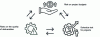 Figure 1 - Project risk triptych