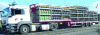 Figure 9 - Large swan-neck container truck carrying 27 pallets