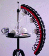Figure 8 - Light-field camera[24]