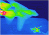 Figure 53 - IR image of an F14 Tomcat above a helicopter