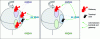Figure 5 - Dimensioning of the ground segment and coverage area
