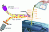 Figure 5 - Identification of lubricating oils during the filling process using fluorescence analysis