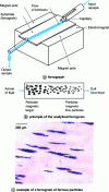 Figure 10 - Ferrograph, principle of the analytical ferrogram, and example of a ferrogram of ferrous particles (based on [24] [25])