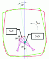 Figure 17 - Displacement of CoR and CoG during
tilting movement (Alstom)
