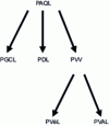 Figure 13 - Plan hierarchy