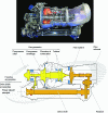 Figure 2 - Helicopter engine: exploded view (top) and cross-section (bottom) (credit: Safran Helicopter Engines)