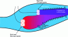 Figure 8 - Schematic cross-section of a DAC chamber sector
