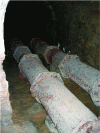 Figure 1 - View of cast-iron pipes in service at the Château de Versailles