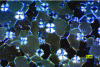 Figure 4 - Microstructure of ductile cast iron (polarized light micrograph): the shiny spheroids are graphite nodules; the grey surface is the metallic phase, ferrite.