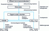 Figure 3 - Simplified diagram of anaerobic digestion of organic products