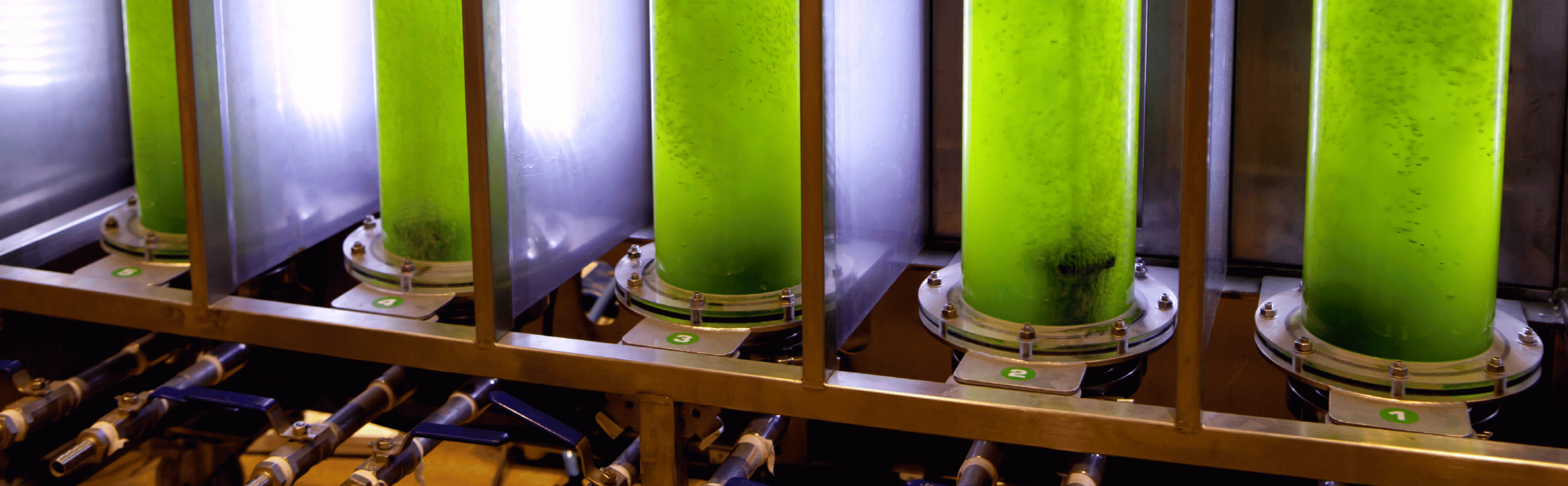 Eco-design and sustainable innovation