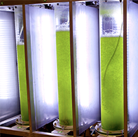 Eco-design and sustainable innovation