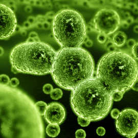 Bioprocesses and bioproductions