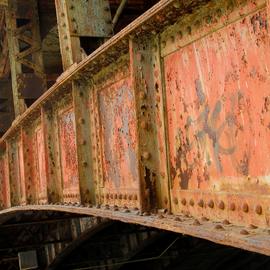 Pathologies and building rehabilitation