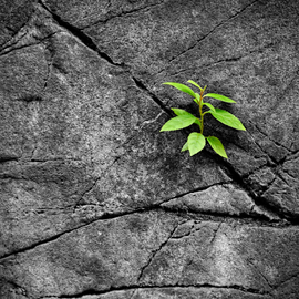 Soil mechanics and geotechnics