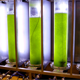 Eco-design and sustainable innovation