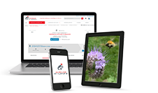 Ecological engineering